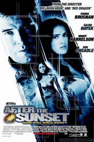 After the Sunset (2004) พยัคฆ์โคตรเพชร