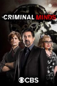 Criminal Minds Season 5 อ่านเกมอาชญากร ปี 5