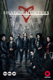 Shadowhunters Season 1