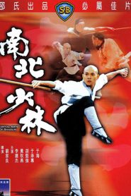 Martial Arts of Shaolin (1986) มังกรน่ำปั๊ก