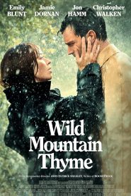 Wild Mountain Thyme (2020) มรดกรักแห่งขุนเขา