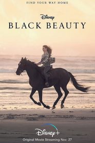 Black Beauty (2020)