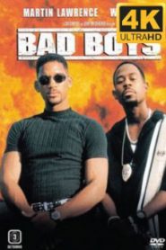 Bad Boys แบดบอยส์ คู่หูขวางนรก