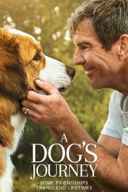 A Dogs Journey (2019) หมา เป้าหมาย และเด็กชายของผม