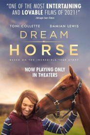 Dream Horse (2020)