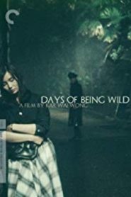 Days Of Being Wild วันที่หัวใจรักกล้าตัดขอบฟ้า