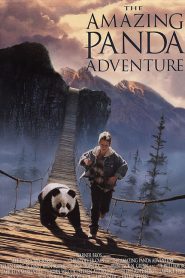 The Amazing Panda Adventure (1995) แพนด้าน้อยผจญภัยสุดขอบฟ้า