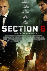 Section 8 (2022)