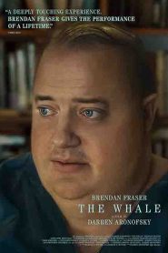 The Whale (2022) เหงา เท่า วาฬ