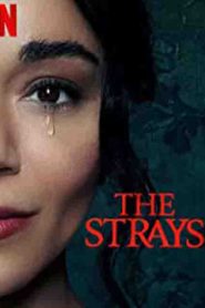 The Strays (2023)