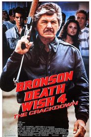 Death Wish 4 The Crackdown (1987) ล้างบัญชียมบาล 4