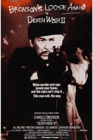 Death Wish II (1982) ล้างบัญชียมบาล 2