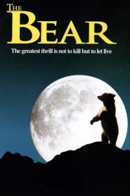 The Bear (1988) หมีเพื่อนเดอะ