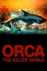 Orca The Killer Whale (1977) ออร์ก้า ปลาวาฬเพชฌฆาต