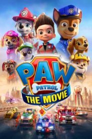 Paw Patrol Jet to the Rescue (2020)