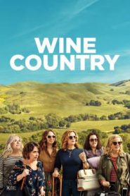 Wine Country (2019) ไวน์ คันทรี่