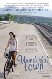 Wonderful Town (2007) เมืองเหงาซ่อนรัก