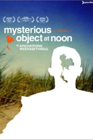 Mysterious Object at Noon (2000) ดอกฟ้าในมือมาร